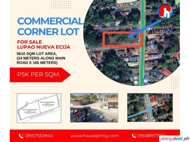 30 Hectares Lot For Sale In Palayan City, Nueva Ecija