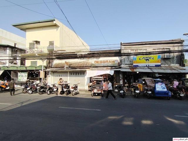 442 sqm Prime Commercial Property for Sale along Villa Christina Ave, Pamplona Tres Las Pinas City