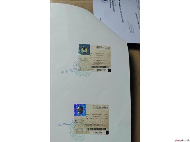 UAE Embassy Attestation Stamp of School Records