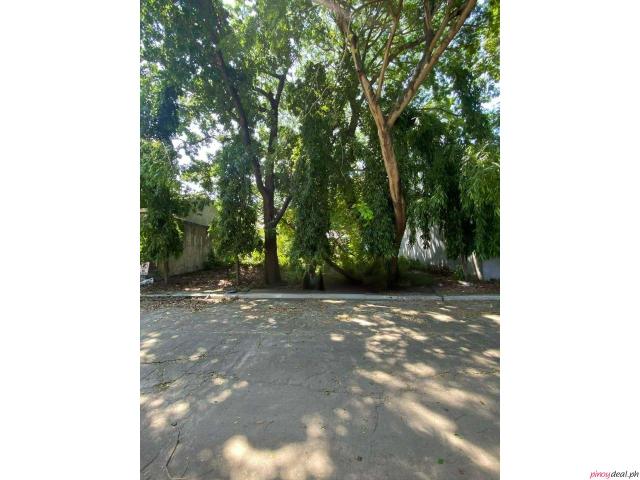 423 sqm Residential Lot for Sale in Valley Vista Vill, Don Bosco, Paranaque City