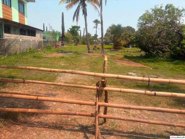 Lot For Sale- Aguilar Pangasinan