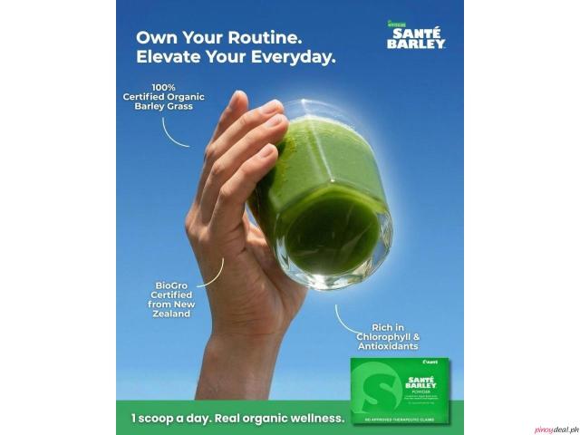Sante Barley Products