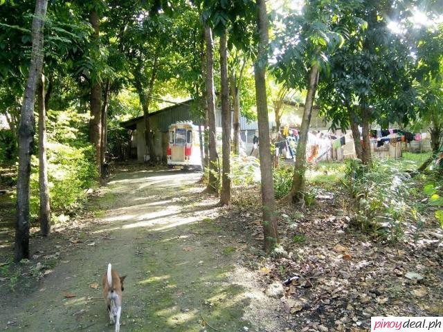 Rush sale: Residential Lot Mahayahay, Bankal Lapu-Lapu City Cebu ...