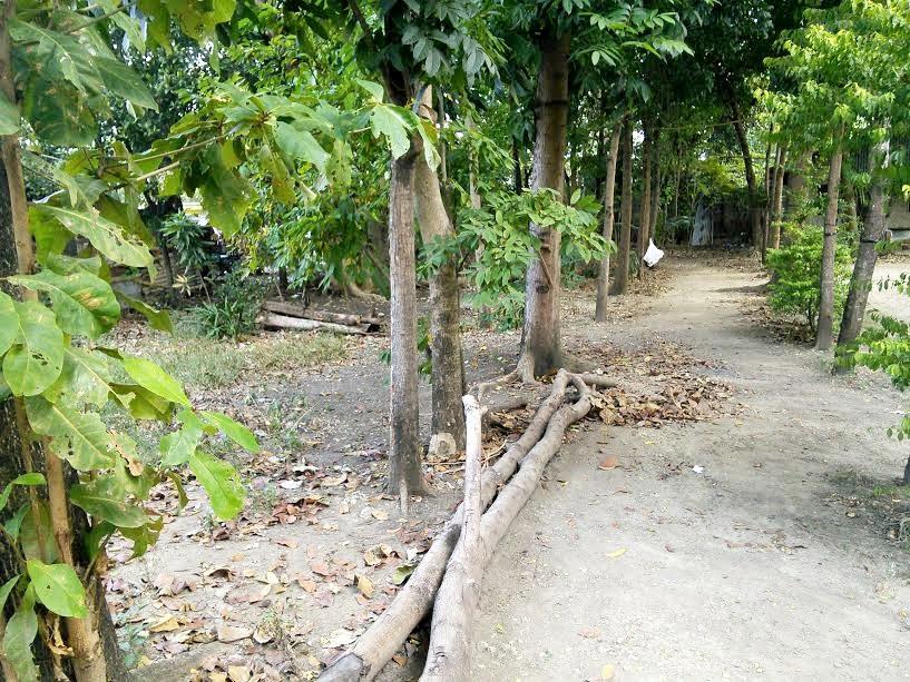 Bankal Rush sale: Residential Lot Mahayahay, Bankal Lapu-Lapu City Cebu ...