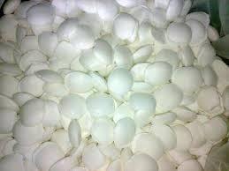 Sodium cyanide Sodium cyanide
